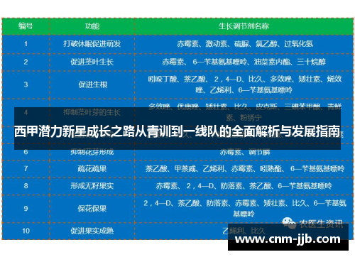 西甲潜力新星成长之路从青训到一线队的全面解析与发展指南 西甲潜力新星成长之路从青训到一线队的全面解析与发展指南