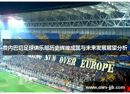 费内巴切足球俱乐部历史辉煌成就与未来发展展望分析