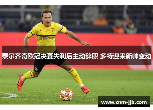 泰尔齐奇欧冠决赛失利后主动辞职 多特迎来新帅变动