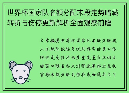 世界杯国家队名额分配末段走势暗藏转折与伤停更新解析全面观察前瞻